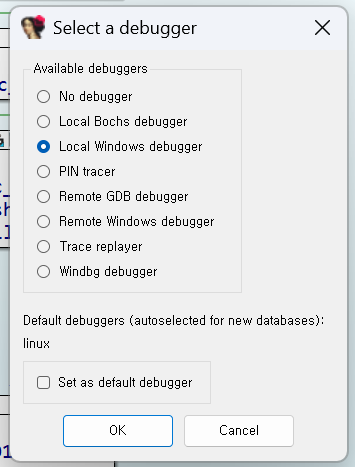 IDA debugger